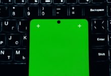 corporate phone number inquiry
