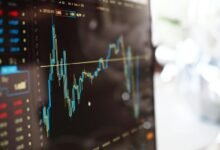 steady income investment options