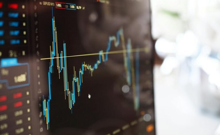 steady income investment options