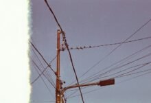 support business inquiry line