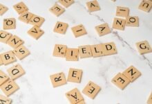 top steady dividend stocks