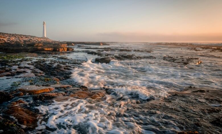 commercial signal discovery ledger