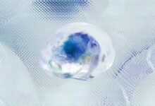 data intelligence linkage memo